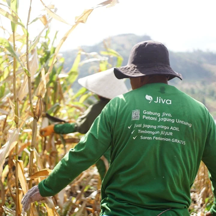 Jiva — agri-tech venture giving smallholder farmers AI-powered advice and market access